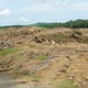 Image for article titled Experts Confirm Rainforest Ecosystem Destroyed To Make Room For Onion Social Server Farm Wasn’t That Impressive To Begin With